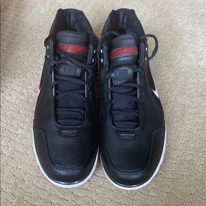 Nike Lebron Air Zoom Generation